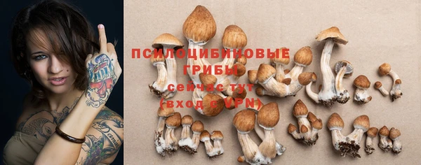 сатива Абдулино