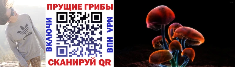 гидра маркетплейс  Одинцово  Псилоцибиновые грибы Magic Shrooms 