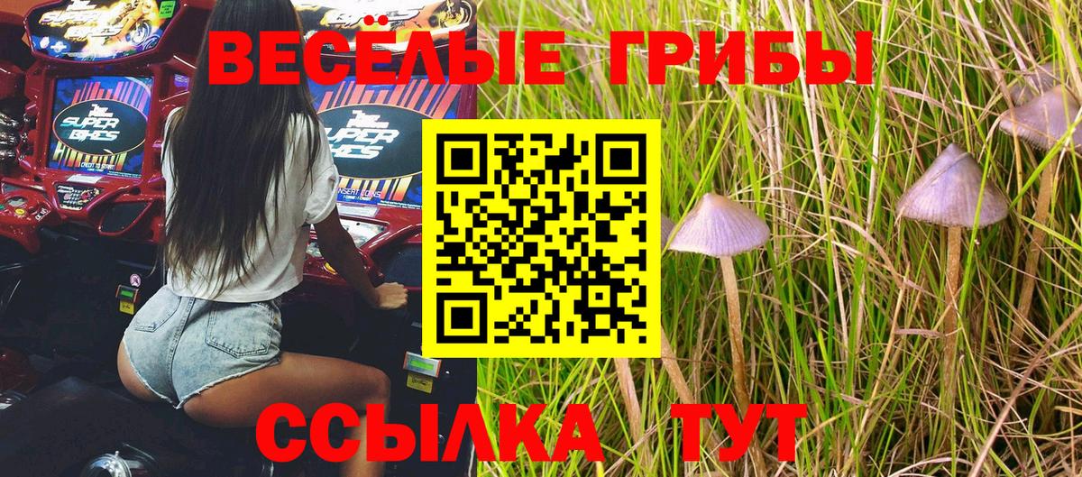 Псилоцибиновые грибы мицелий  Вход с VPN  Одинцово 